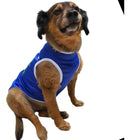 Roupa Pet Seleção Brasil Copa Do Mundo Gato Cachorro