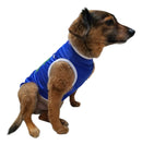 Roupa Pet Seleção Brasil Copa Do Mundo Gato Cachorro