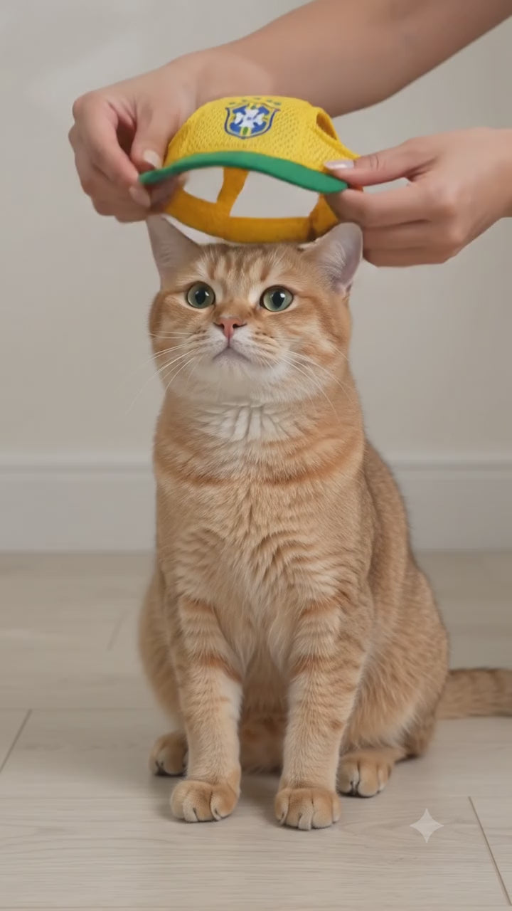 Kit Brasil Coleira Peitoral e boné pet Ajustável Para Cachorro e Gato Com Guia